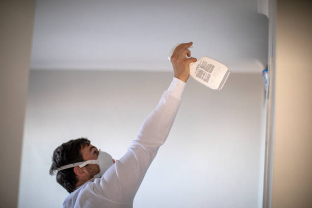 Home Mold Removal in Farmersville, OH