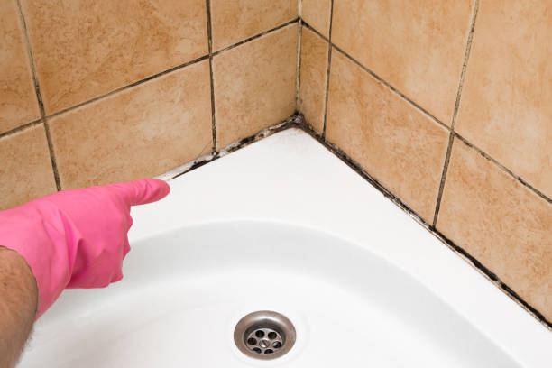 Best Water Damage Restoration  in Farmersville, OH